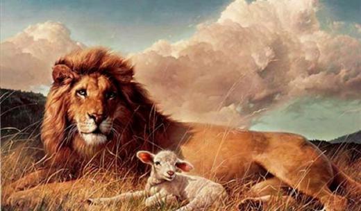لشکر گوسفندانی که توسط یک شیر رهبری میشود میتواند، لشکر شیرانی که توسط یک‌ گوسفند رهبری میشود را شکست دهد!